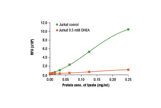 undefined Image 3: Glucose-6-Phosphate Dehydrogenase (G6PD) Activity Assay Kit