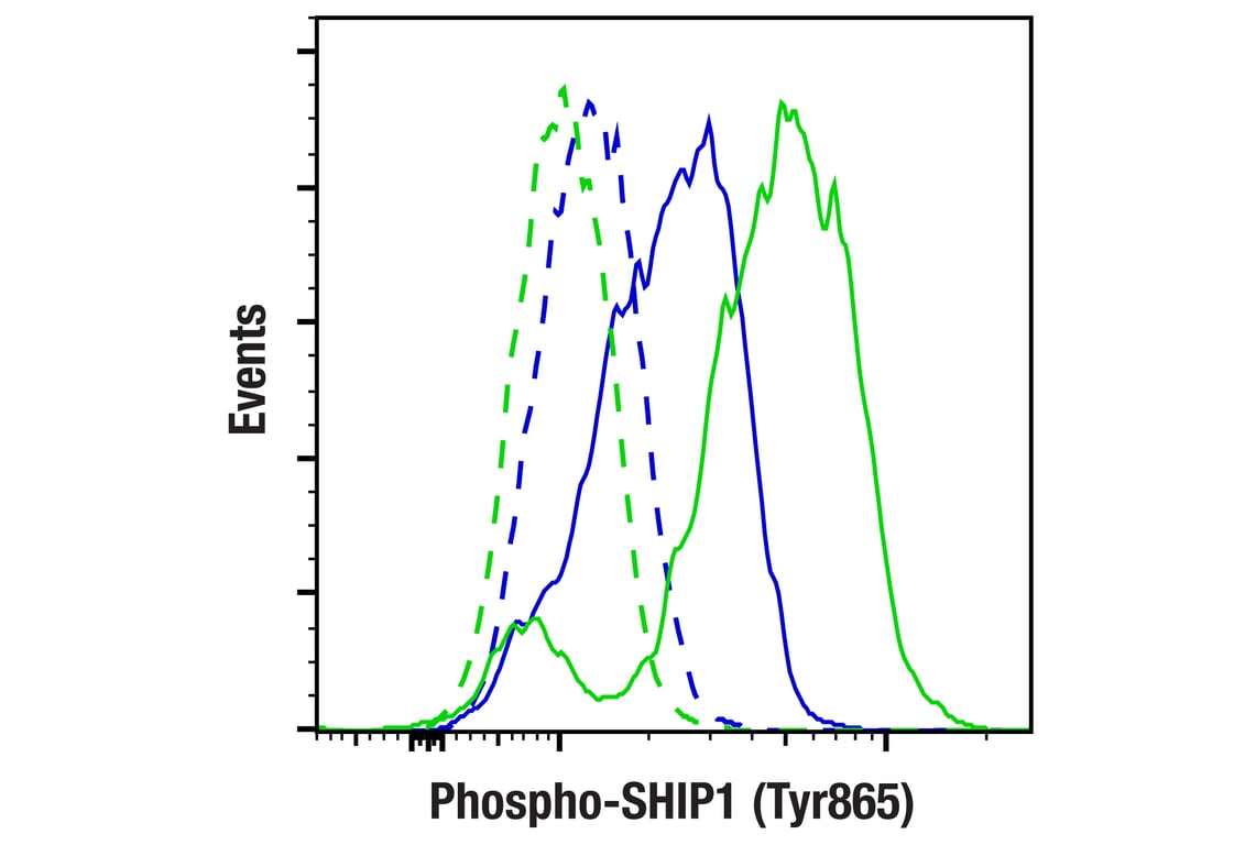 Flow Cytometry Image 4: Phospho-SHIP1 (Tyr865) (F3N9M) Rabbit Monoclonal Antibody