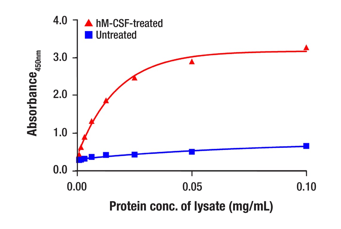 ELISA Image 2: PathScan<sup>®</sup> RP Phospho-CSF-1R/M-CSF-R (panTyr) Sandwich ELISA Kit