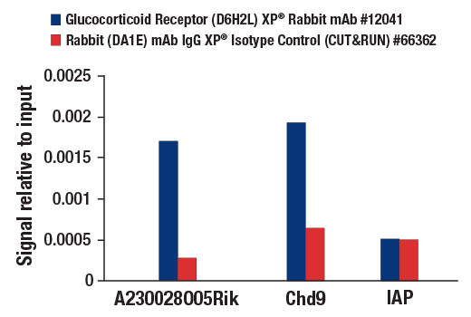 CUT & RUN Image 3: Glucocorticoid Receptor (D6H2L) Rabbit Monoclonal Antibody
