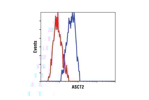 Flow Cytometry Image 1: ASCT2 (V501) Antibody