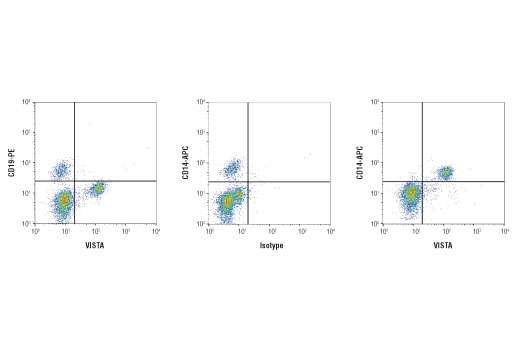 Flow Cytometry Image 1: VISTA (D1L2G) Rabbit Monoclonal Antibody (BSA and Azide Free)