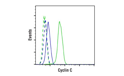 Flow Cytometry Image 1: Cyclin C (E6V4Z) Rabbit Monoclonal Antibody (BSA and Azide Free)