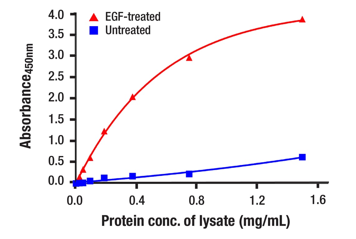 Phospho-Stat1 (Tyr701) (58D6) Rabbit mAb (BSA and Azide Free