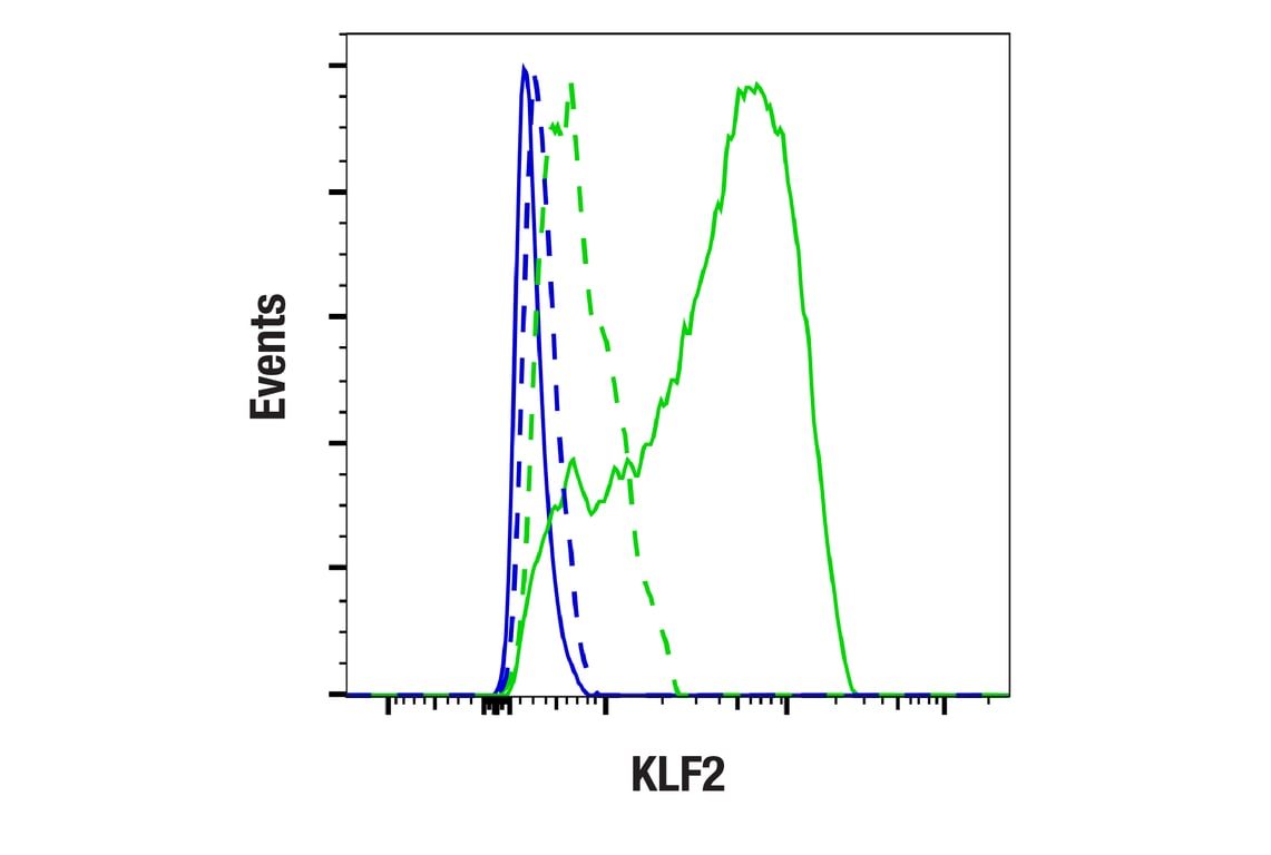 Flow Cytometry Image 1: KLF2 (E7K8Y) Rabbit Monoclonal Antibody