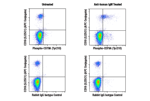 Flow Cytometry Image 1: Phospho-CD79A (Tyr210) (E8E9Z) Rabbit Monoclonal Antibody