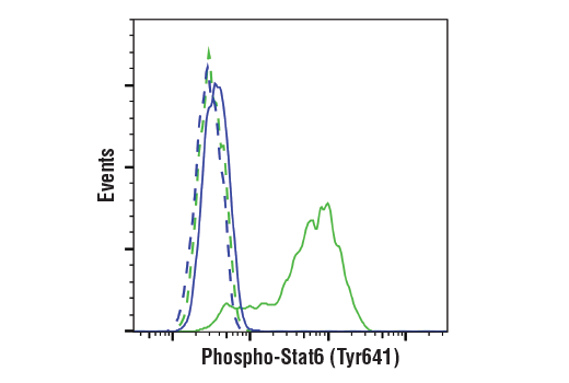 Flow Cytometry Image 1: Phospho-Stat6 (Tyr641) (D8S9Y) Rabbit Monoclonal Antibody (BSA and Azide Free)