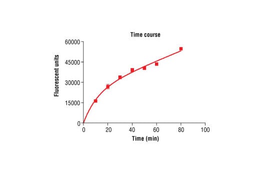 undefined Image 4: HTScan<sup>®</sup> Mouse PDGF Receptor alpha Kinase Assay Kit