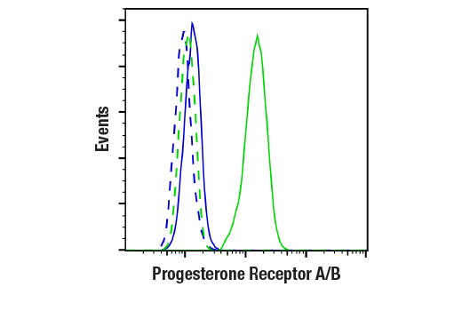 Progesterone Receptor A/B (D8Q2J) XP® Rabbit mAb (BSA and Progesterone Receptor A/B (D8Q2J) XP® Rabbit mAb (BSA and