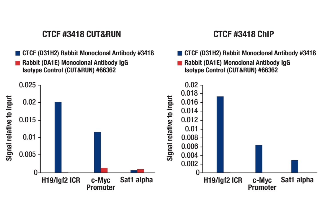 CUT & RUN Image 9: CUT&RUN Assay Kit