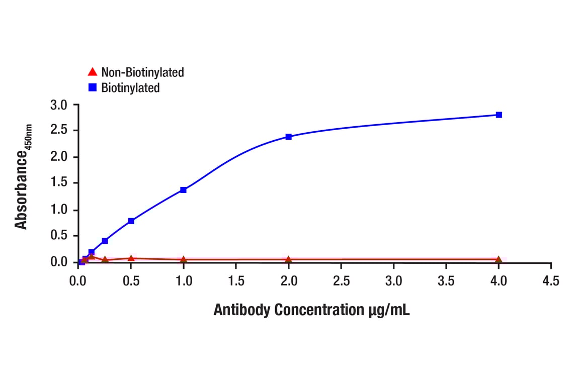 ELISA and/or ELISA-like Assays Image 1: alpha-Synuclein (D37A6) Rabbit Monoclonal Antibody (Biotinylated)