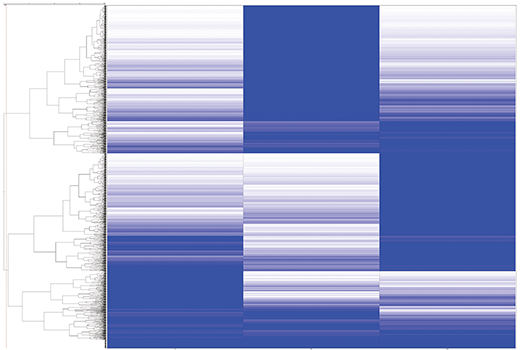 PTMScan Image 3: PTMScan<sup>®</sup> Multi-Pathway Enrichment Kit