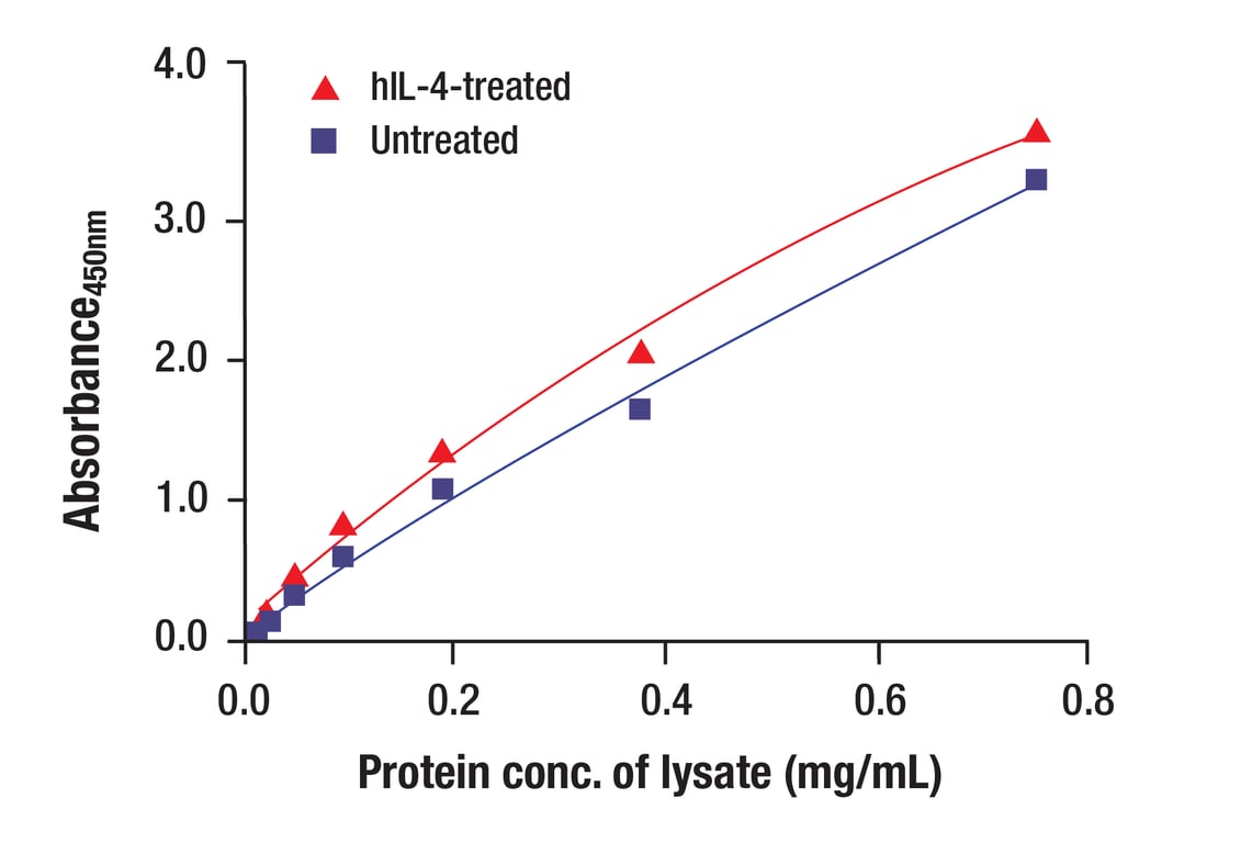 ELISA and/or ELISA-like Assays Image 5: Stat6 (D3H4) Rabbit Monoclonal Antibody (BSA and Azide Free)