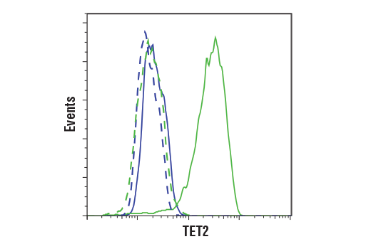Flow Cytometry Image 1: TET2 (D6C7K) Rabbit Monoclonal Antibody