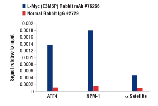 Chromatin Immunoprecipitation Image 1: L-Myc (E3M5P) Rabbit Monoclonal Antibody