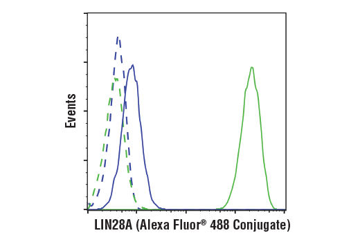 Flow Cytometry Image 1: LIN28A (D1A1A) Rabbit Monoclonal Antibody (Alexa Fluor<sup>®</sup> 488 Conjugate)