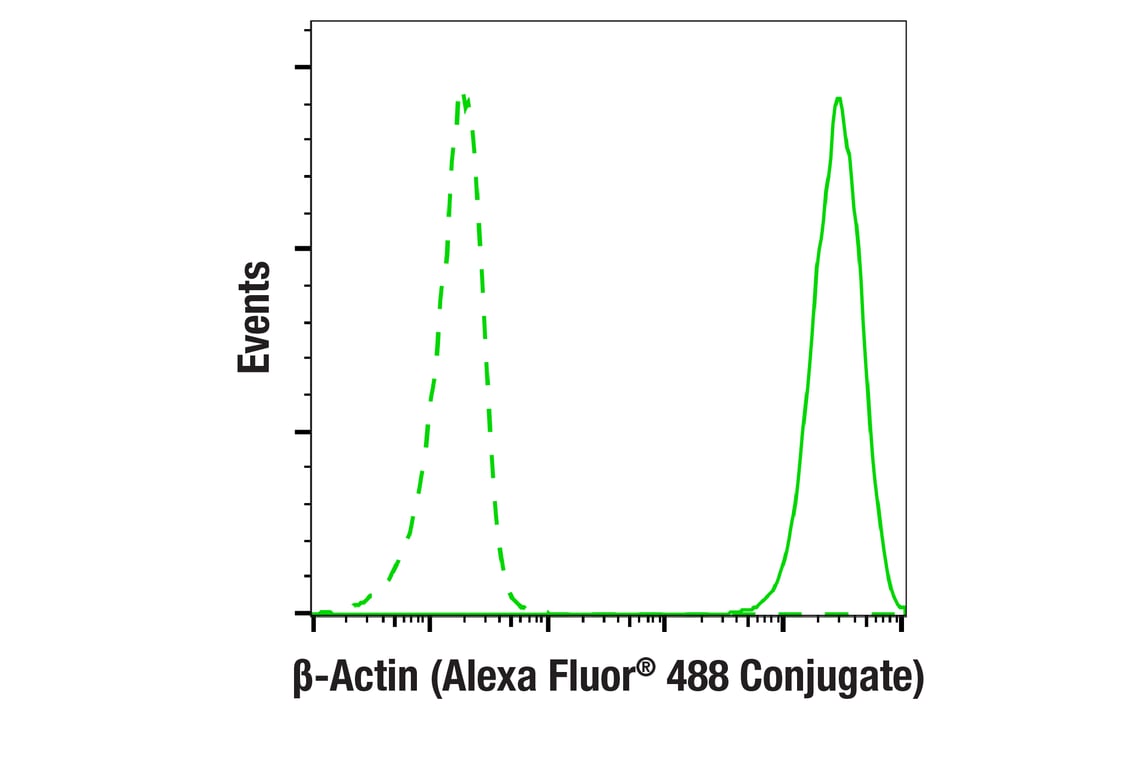 Flow Cytometry Image 1: beta-Actin (D6A8) Rabbit Monoclonal Antibody (Alexa Fluor<sup>®</sup> 488 Conjugate)