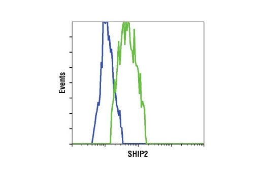 Flow Cytometry Image 1: SHIP2 (C76A7) Rabbit Monoclonal Antibody