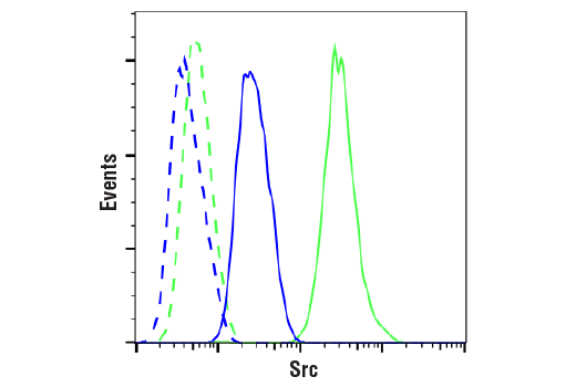 Flow Cytometry Image 1: Src (36D10) Rabbit Monoclonal Antibody (BSA and Azide Free)