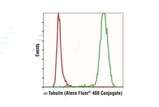 Flow Cytometry Image 1: alpha-Tubulin (11H10) Rabbit Monoclonal Antibody (Alexa Fluor<sup>®</sup> 488 Conjugate)