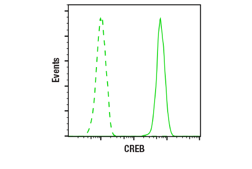 Flow Cytometry Image 1: CREB (48H2) Rabbit Monoclonal Antibody