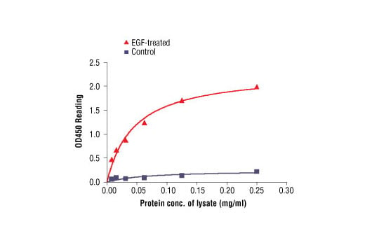 ELISA Image 2: PathScan<sup>®</sup> Phospho-EGF Receptor (Tyr1068) Sandwich ELISA Kit