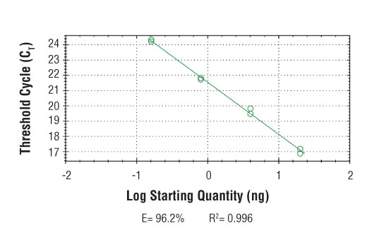 Chromatin Immunoprecipitation Image 2: SimpleChIP<sup>®</sup> Mouse Intracisternal A-Particle (IAP) LTR Primers