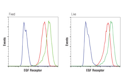 Flow Cytometry Image 1: EGF Receptor (D1D4J) Rabbit Monoclonal Antibody
