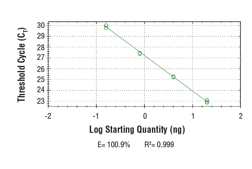 Chromatin Immunoprecipitation Image 2: SimpleChIP<sup>®</sup> Human PabPC1 Exon 1 Primers