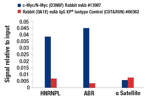 CUT & RUN Image 3: c-Myc/N-Myc (D3N8F) Rabbit Monoclonal Antibody