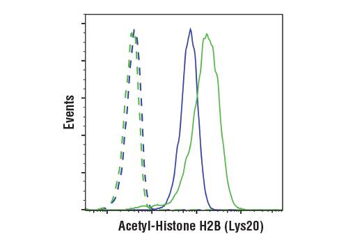 Flow Cytometry Image 1: Acetyl-Histone H2B (Lys20) (D7O9W) Rabbit Monoclonal Antibody