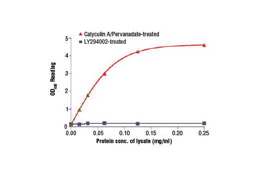 ELISA Image 2: PathScan<sup>®</sup> Phospho-YB1 (Ser102) Sandwich ELISA Kit