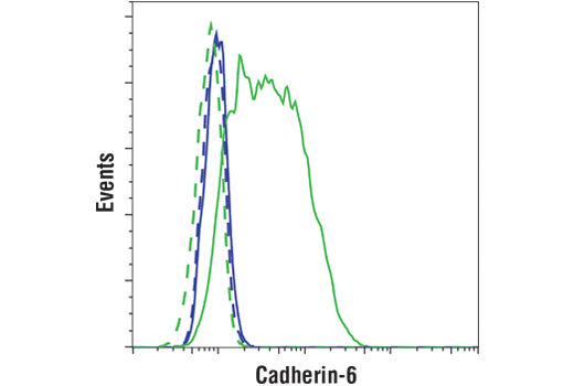 Flow Cytometry Image 1: Cadherin-6 (D3T3I) Rabbit Monoclonal Antibody