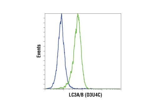 Flow Cytometry Image 1: LC3A/B (D3U4C) Rabbit Monoclonal Antibody (BSA and Azide Free)