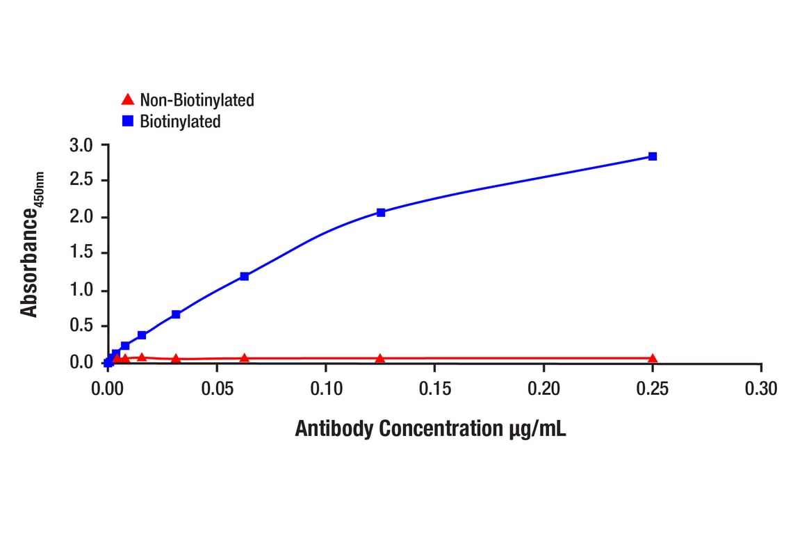 E Image 1: Phospho-Met (Tyr1234/1235) (D26) Rabbit Monoclonal Antibody (Biotinylated)