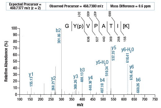 undefined Image 4: PTMScan<sup>®</sup> Control Peptides Phospho-Tyrosine