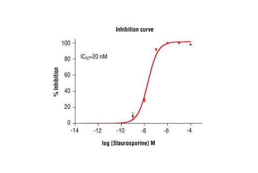 undefined Image 3: HTScan<sup>®</sup> FGF Receptor 3 Kinase Assay Kit
