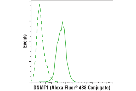 undefined Image 15: DNA Methylation Antibody Sampler Kit