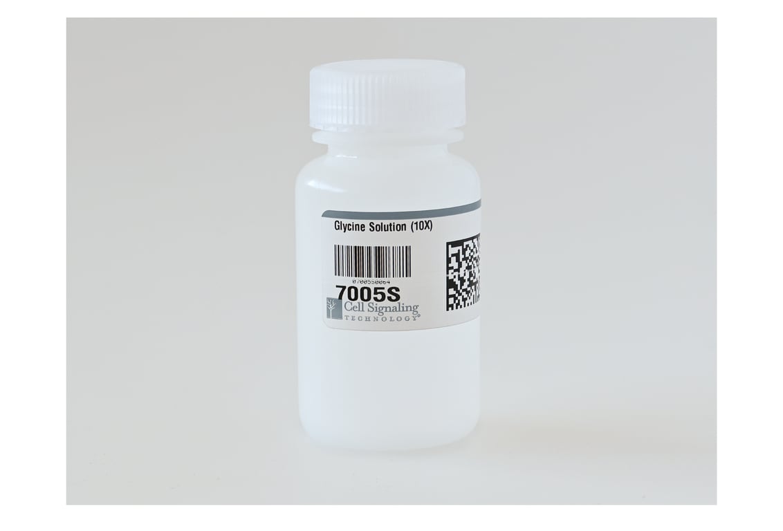 undefined Image 2: Glycine Solution (10X)