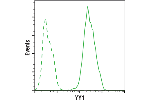 Flow Cytometry Image 1: YY1 (D5D9Z) Rabbit Monoclonal Antibody