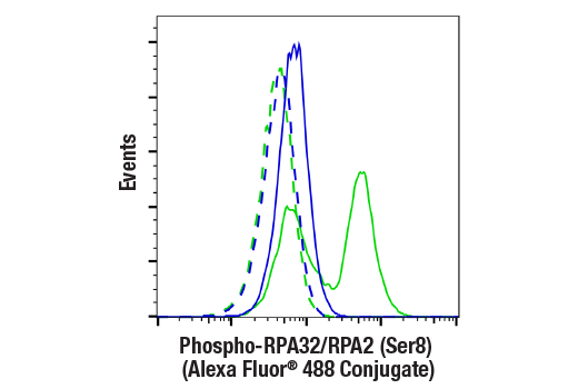 Flow Cytometry Image 1: Phospho-RPA32/RPA2 (Ser8) (E5A2F) Rabbit Monoclonal Antibody (Alexa Fluor<sup>®</sup> 488 Conjugate)