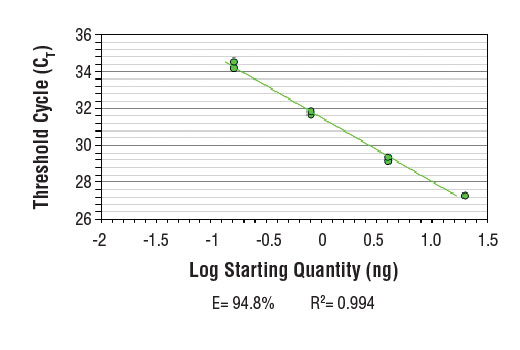 Chromatin Immunoprecipitation Image 2: SimpleChIP<sup>®</sup> Human 28S rDNA Repeat Primers