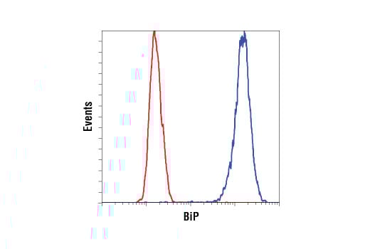 undefined Image 23: ER Stress Antibody Sampler Kit
