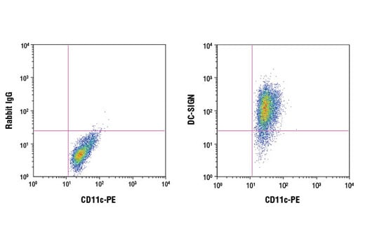 Flow Cytometry Image 1: DC-SIGN (D7F5C) Rabbit Monoclonal Antibody (BSA and Azide Free)