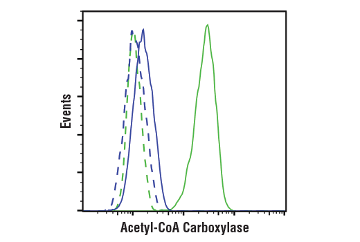 Flow Cytometry Image 1: Acetyl-CoA Carboxylase (C83B10) Rabbit Monoclonal Antibody (BSA and Azide Free)