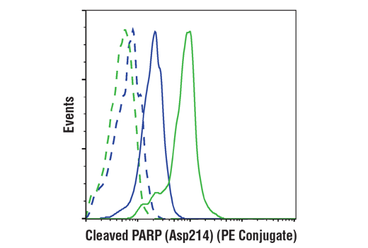 Flow Cytometry Image 1: Cleaved PARP (Asp214) (D64E10) XP<sup>®</sup> Rabbit mAb (PE Conjugate)