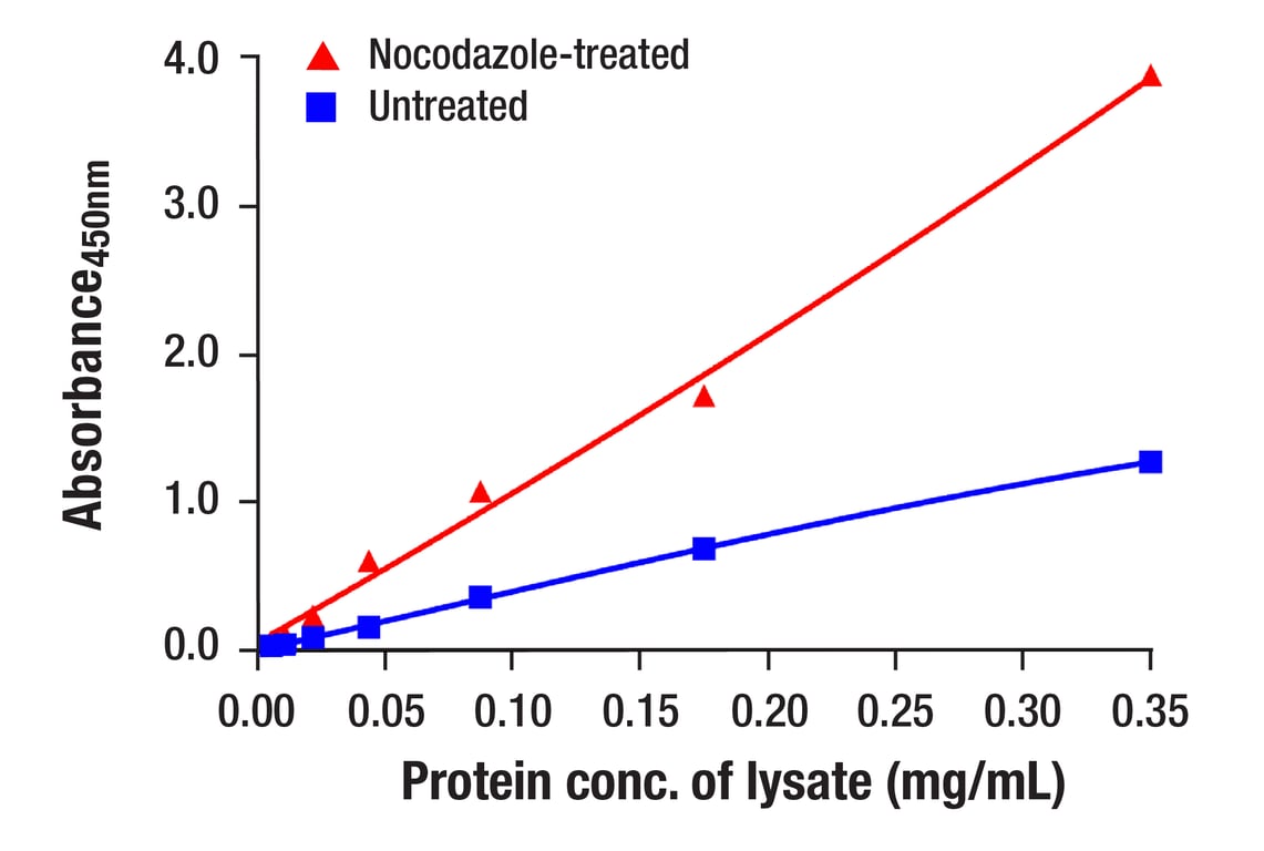 ELISA and/or ELISA-like Assays Image 2: Phospho-DRP1 (Ser616) (D9A1) Rabbit Monoclonal Antibody (BSA and Azide Free)