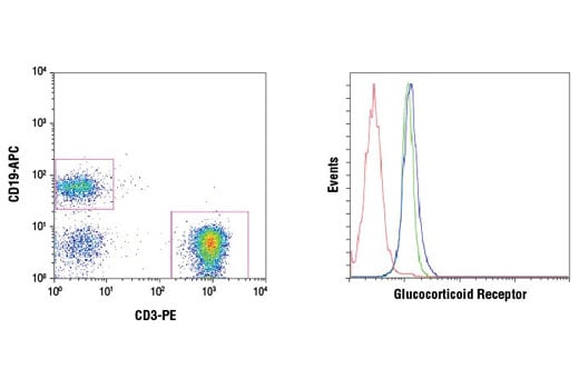 Flow Cytometry Image 2: Glucocorticoid Receptor (D6H2L) Rabbit Monoclonal Antibody