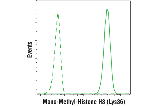 Flow Cytometry Image 1: Mono-Methyl-Histone H3 (Lys36) (D9J1D) Rabbit Monoclonal Antibody (BSA and Azide Free)