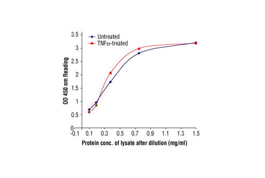 ELISA Image 2: PathScan<sup>®</sup> Total IkappaB alpha Sandwich ELISA Kit